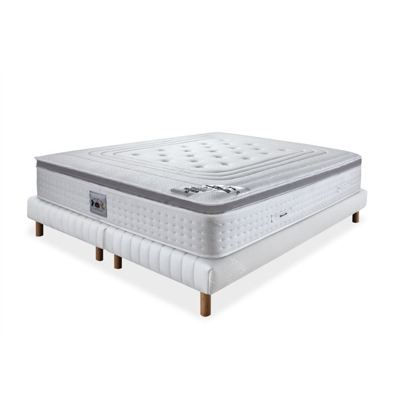 ENSEMBLE LE ROYAL LUXE