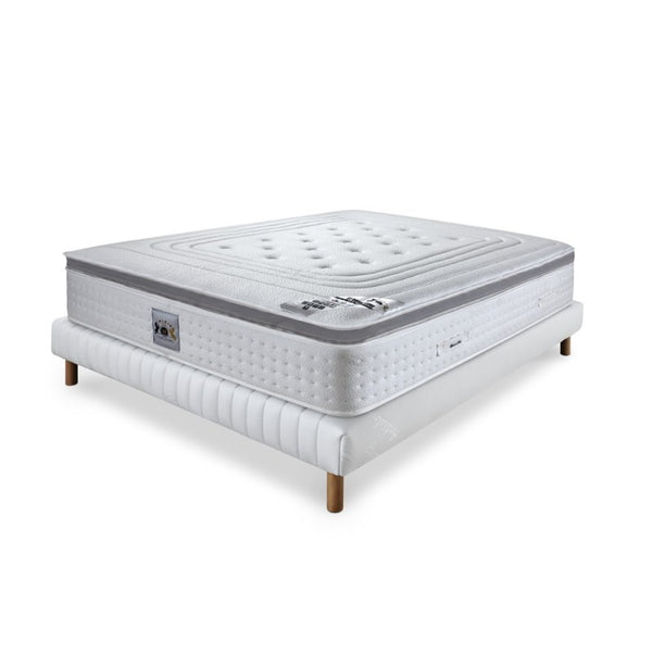 ENSEMBLE LE ROYAL LUXE