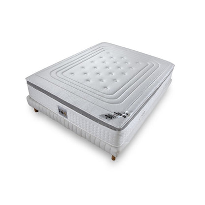 ENSEMBLE LE ROYAL LUXE