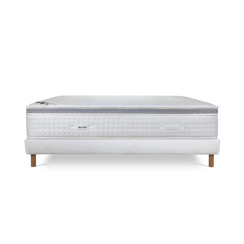 ENSEMBLE LE ROYAL LUXE